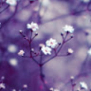 Meet your Posher, Ash